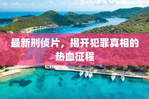 最新刑侦片，揭开犯罪真相的热血征程