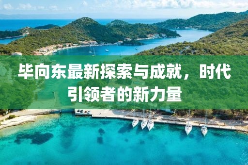 毕向东最新探索与成就，时代引领者的新力量