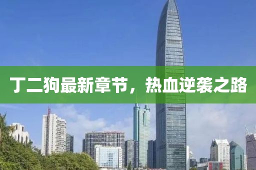 丁二狗最新章节，热血逆袭之路