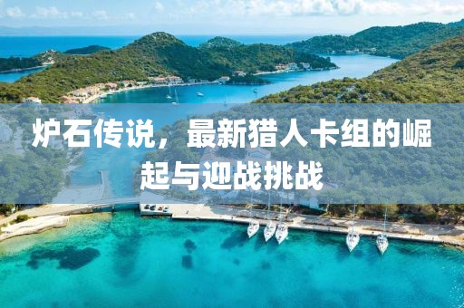 炉石传说，最新猎人卡组的崛起与迎战挑战