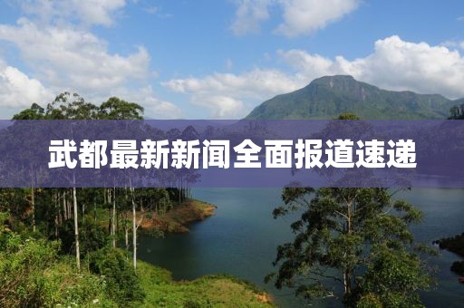 武都最新新闻全面报道速递