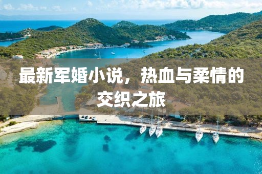 最新军婚小说，热血与柔情的交织之旅