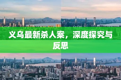 义乌最新杀人案，深度探究与反思