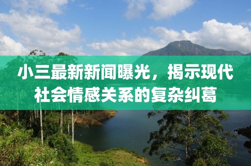小三最新新闻曝光，揭示现代社会情感关系的复杂纠葛