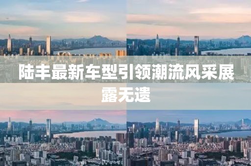 陆丰最新车型引领潮流风采展露无遗