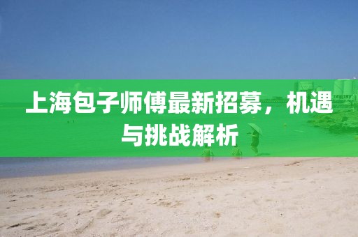 上海包子师傅最新招募，机遇与挑战解析