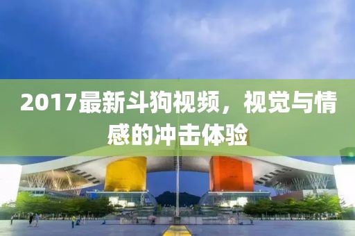 2017最新斗狗视频，视觉与情感的冲击体验