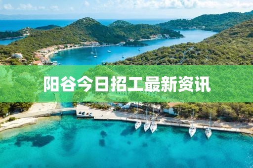 阳谷今日招工最新资讯
