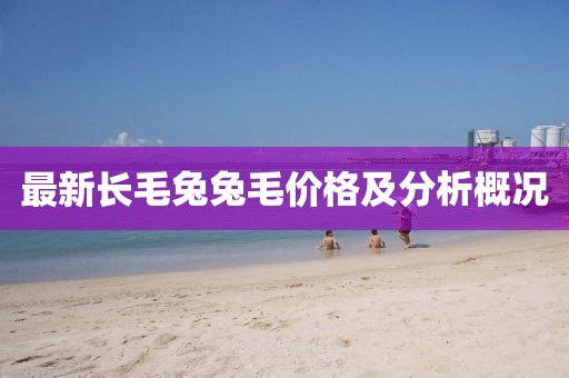 最新长毛兔兔毛价格及分析概况