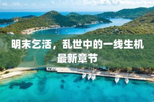 明末乞活，乱世中的一线生机最新章节
