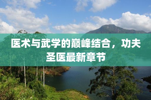 医术与武学的巅峰结合，功夫圣医最新章节