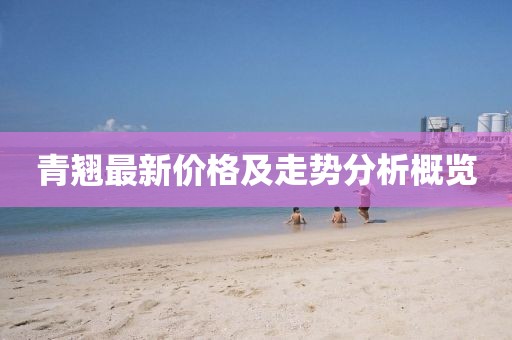 浅笑轻吟梦一曲 第17页