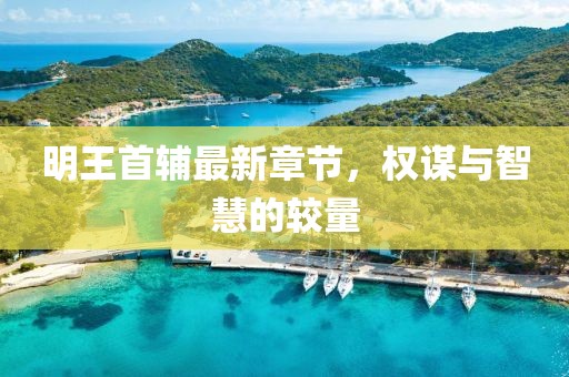 明王首辅最新章节，权谋与智慧的较量