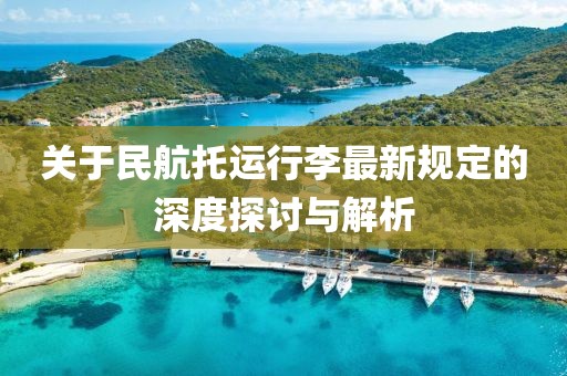 关于民航托运行李最新规定的深度探讨与解析