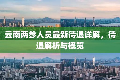云南两参人员最新待遇详解，待遇解析与概览