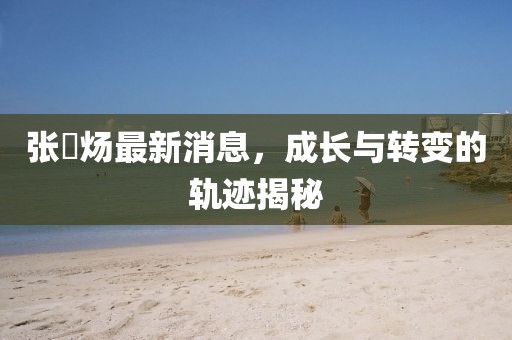爱情的模样 第28页