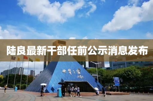 陆良最新干部任前公示消息发布