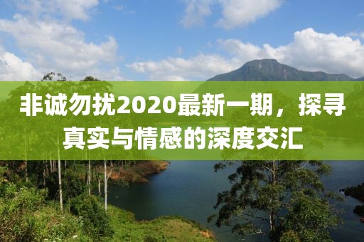 非诚勿扰2020最新一期，探寻真实与情感的深度交汇