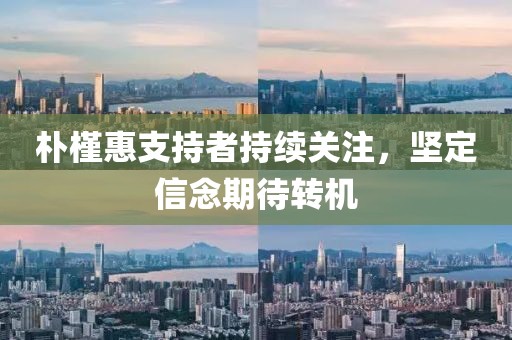朴槿惠支持者持续关注，坚定信念期待转机