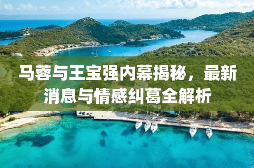 马蓉与王宝强内幕揭秘，最新消息与情感纠葛全解析