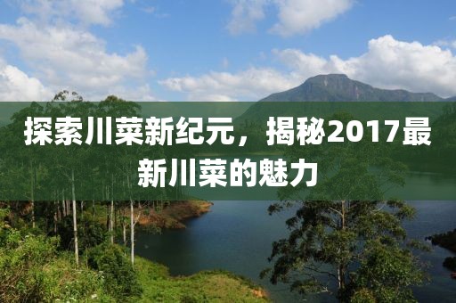 探索川菜新纪元，揭秘2017最新川菜的魅力