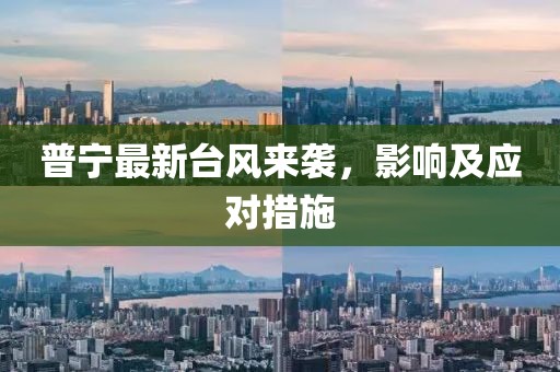 普宁最新台风来袭，影响及应对措施