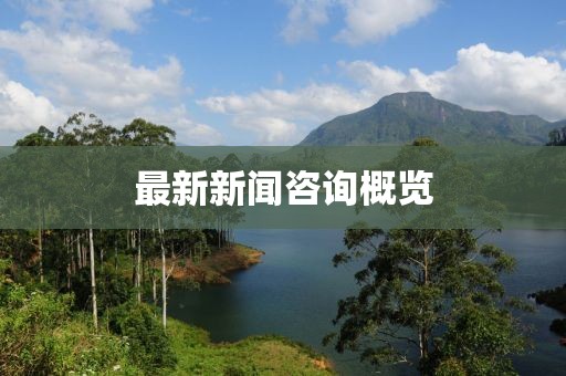 最新新闻咨询概览