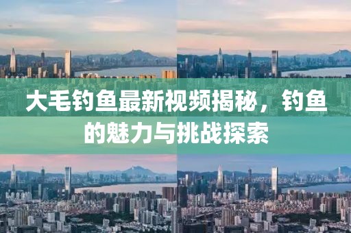 大毛钓鱼最新视频揭秘，钓鱼的魅力与挑战探索