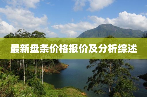 最新盘条价格报价及分析综述