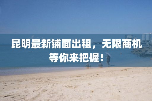 昆明最新铺面出租，无限商机等你来把握！