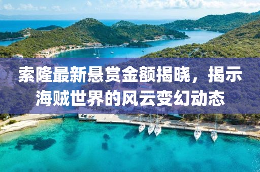 索隆最新悬赏金额揭晓，揭示海贼世界的风云变幻动态