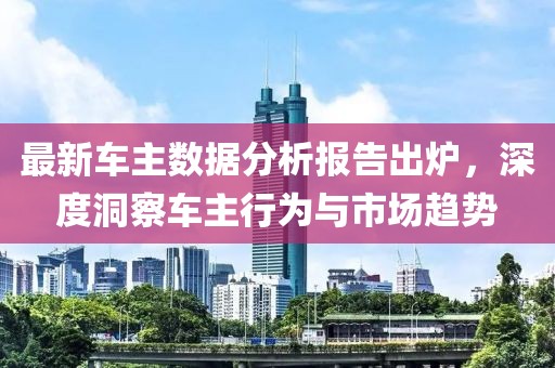 最新车主数据分析报告出炉，深度洞察车主行为与市场趋势