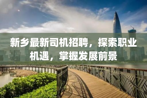 新乡最新司机招聘，探索职业机遇，掌握发展前景