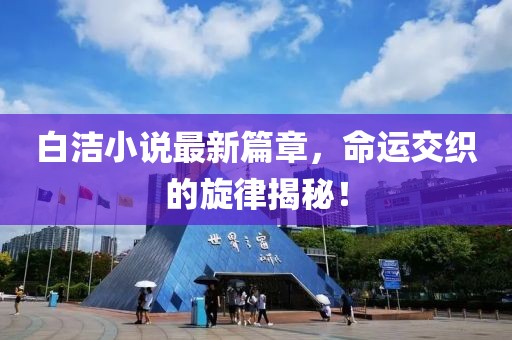 白洁小说最新篇章，命运交织的旋律揭秘！