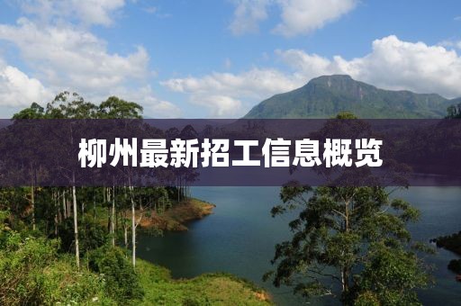 柳州最新招工信息概览