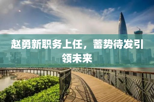 赵勇新职务上任，蓄势待发引领未来
