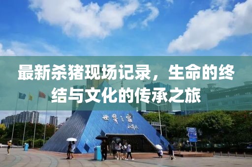 最新杀猪现场记录，生命的终结与文化的传承之旅