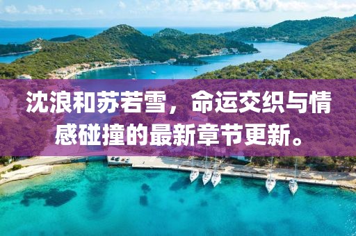 沈浪和苏若雪，命运交织与情感碰撞的最新章节更新。