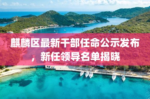麒麟区最新干部任命公示发布，新任领导名单揭晓
