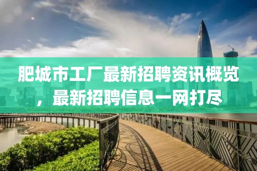 肥城市工厂最新招聘资讯概览，最新招聘信息一网打尽