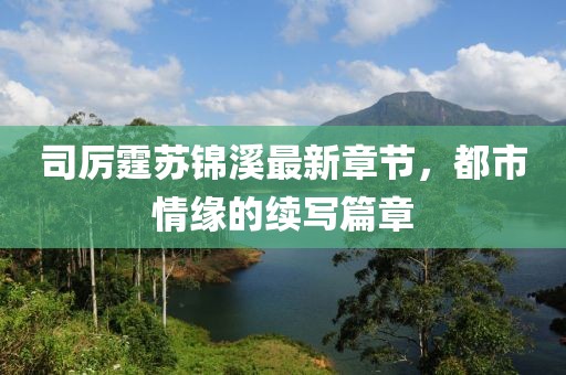 司厉霆苏锦溪最新章节，都市情缘的续写篇章