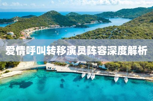 爱情呼叫转移演员阵容深度解析