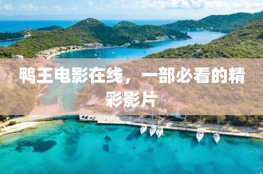 鸭王电影在线，一部必看的精彩影片