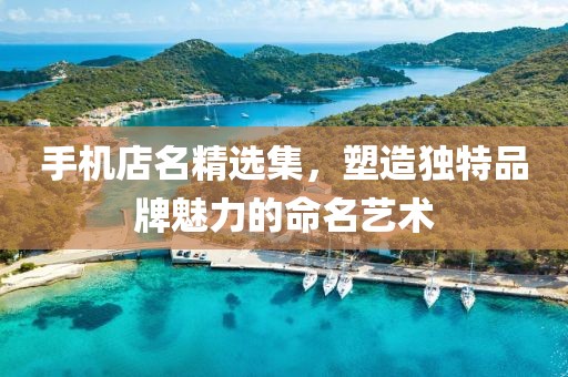 手机店名精选集，塑造独特品牌魅力的命名艺术