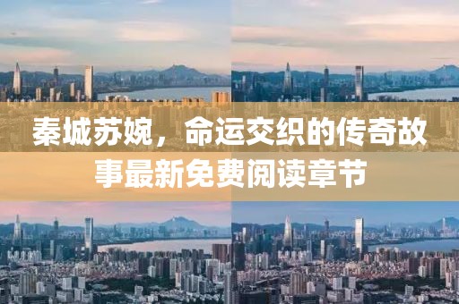 秦城苏婉，命运交织的传奇故事最新免费阅读章节