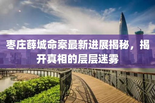枣庄薛城命案最新进展揭秘，揭开真相的层层迷雾