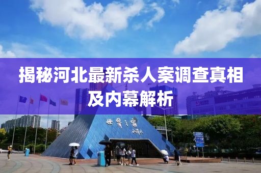 揭秘河北最新杀人案调查真相及内幕解析