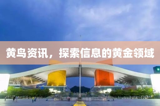 黄鸟资讯，探索信息的黄金领域