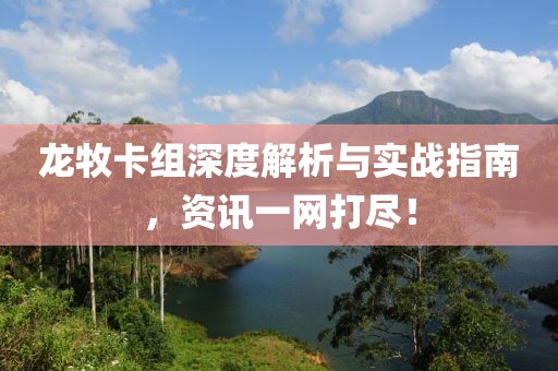 龙牧卡组深度解析与实战指南，资讯一网打尽！
