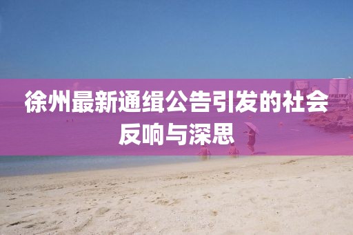 徐州最新通缉公告引发的社会反响与深思
